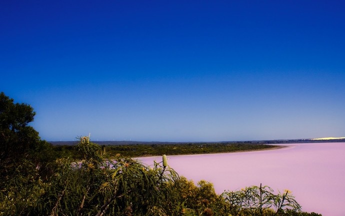 Lake Hillier - Australia