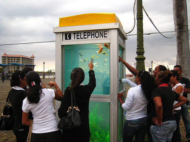 Old Telephone Booth Transformed Into Aquarium Booth