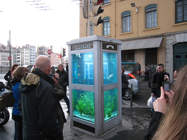 Old Telephone Booth Transformed Into Aquarium Booth