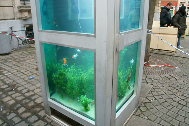 Telephone Booth Transformed Into Aquarium