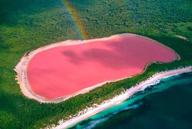 Pink Colored Lake Hillier in Australia