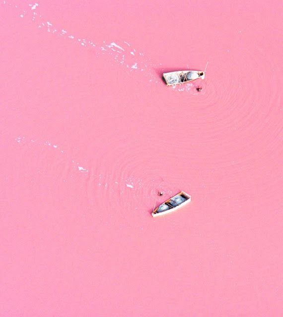 Pink Lake Hillier in Australia 02