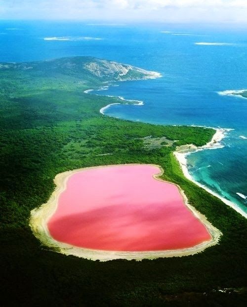 Pink Lake Hillier in Australia