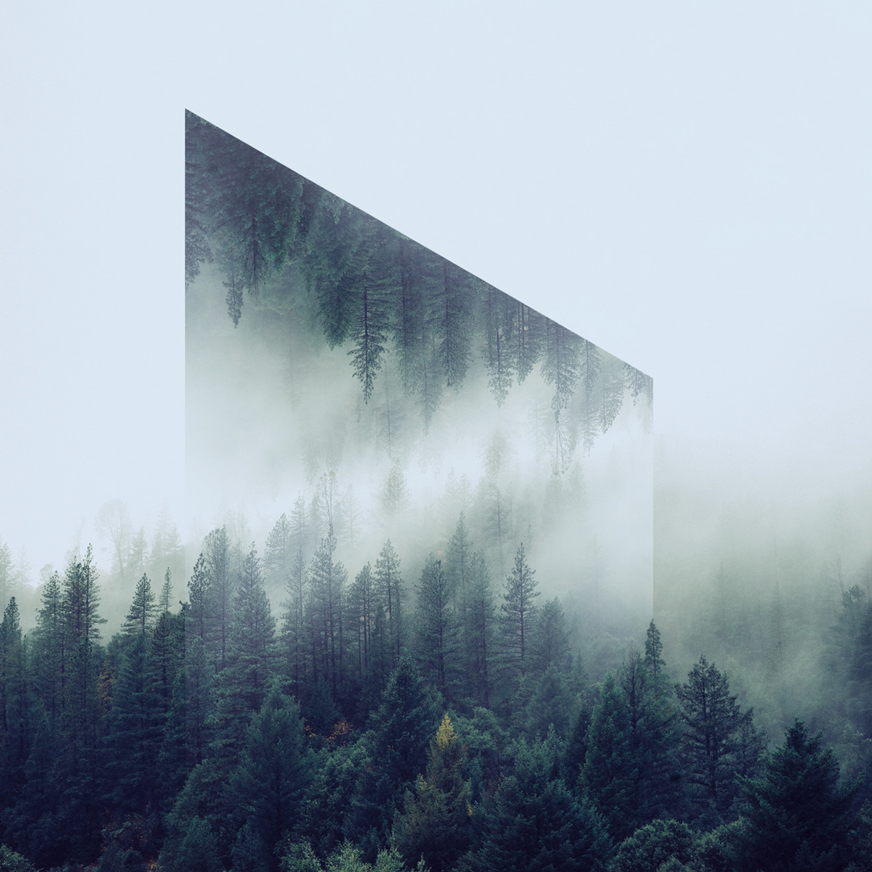 Victoria Siemer Reflected Landscapes and Creative Photo Manipulations