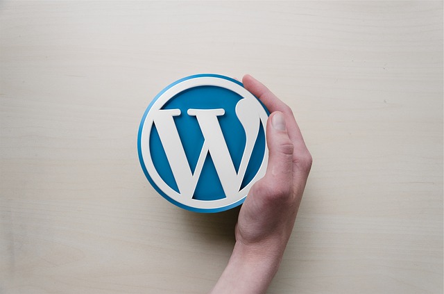 How to Choose the Best WordPress Theme for Your Blog
