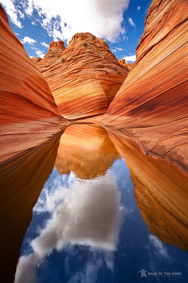 Coyote Buttes The Wave Arizona
