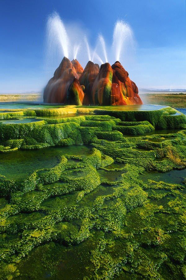 Fly Geyser Nevada Fantasy Landscape