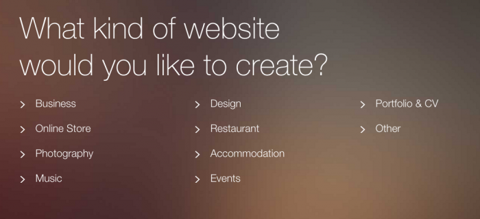 What kind of websites can you build with Wix.com?